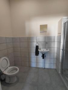 a bathroom with a toilet and a sink at The Lantern Porch Guesthouse in Vryburg +35 photos
