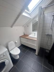 a bathroom with a toilet and a sink at Sønderborg Wellness Villa in Skovbyballe +16 photos