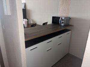 a kitchen with a microwave on top of a counter at Apartment 231 in Hohegeiß