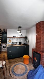 a kitchen with a fireplace and a stove in it at Apartments Gabliani in Mestia in Mestia