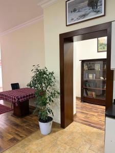 a room with a table and a potted plant at Просторный дом с садом in Qŭyliq