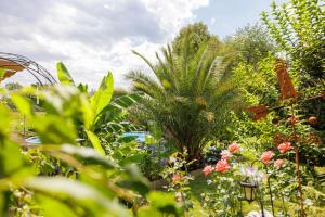 a garden with a palm tree and other plants at Ferienwohnung Leibnitz Südsteiermark in Leibnitz +3 photos