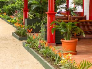 a garden with flowers and plants on a patio at Charming Studio in Foulpointe, Sea View and Garden, 30 m² in Foulpointe