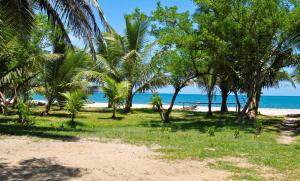 a beach with palm trees and the ocean at Charming Studio in Foulpointe, Sea View and Garden, 30 m² in Foulpointe