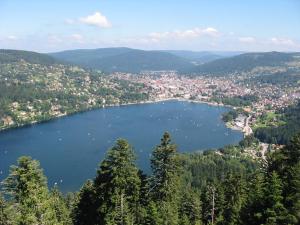 a view of a lake with a city in the distance at Appartement confortable à Gérardmer 40 m² proximité pistes in Gérardmer
