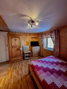 a bedroom with a bed and a tv in it at Appartement confortable à Gérardmer 40 m² proximité pistes in Gérardmer +16 photos