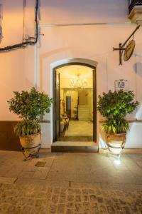 a hallway with two potted plants and a mirror at La Posada Del Infante in La Puebla de los Infantes