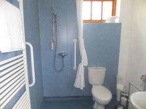 a blue bathroom with a toilet and a shower at West View Farm in Louth