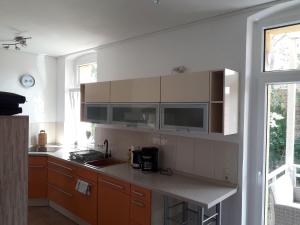 a kitchen with wooden cabinets and a counter top at Specht-Ferienwohnung-1-Tangermuende in Tangermünde