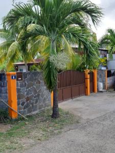 a palm tree in front of a fence at Studio charmant à Le Robert - 17 m² avec Piscine partagée in Le Robert