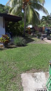 a yard with green grass and a palm tree at Studio charmant à Le Robert - 17 m² avec Piscine partagée in Le Robert +4 photos