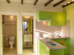 a kitchen with green cabinets and a toilet at Appartement confortable avec vue sur mer à Bouillante, 50 m² in Bouillante
