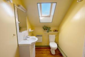 a bathroom with a toilet and a sink and a skylight at Chez Pauline in Massangis
