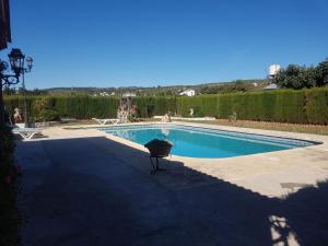 a swimming pool with a planter in front of it at Charming house in Arriate with private pool. in Arriate