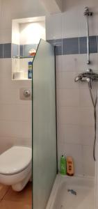a bathroom with a shower with a toilet and a sink at Studio confortable à Sainte-Anne 30 m² avec vue mer in Sainte-Anne +12 photos