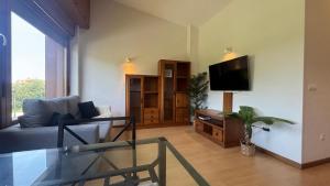 a living room with a couch and a tv at AP TXALUPA II in Barro de Llanes