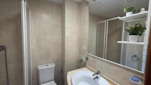 a bathroom with a toilet and a sink and a mirror at AP TXALUPA II in Barro de Llanes +30 photos