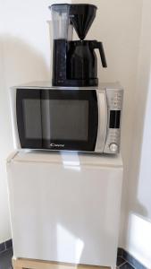 a microwave sitting on top of a white refrigerator at Studio confortable à Taninges, 25 m² avec vue sur jardin in Taninges