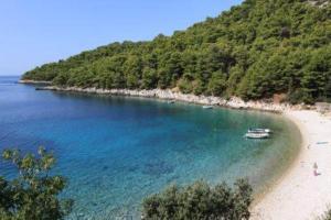 a boat in the water on a beach at Charming Apartment with Sea View, Gdinj, 70 m², Garden in Gdinj