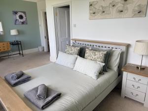 a bed with two pillows on it in a room at Penybryn in Llandeilo