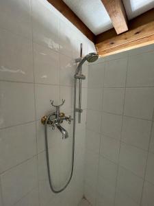 a shower in a bathroom with a shower head at Cottage Normand in Lison +21 photos