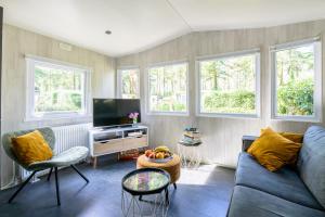 a living room with a couch and a tv at De Bosvlinder in Hoenderloo