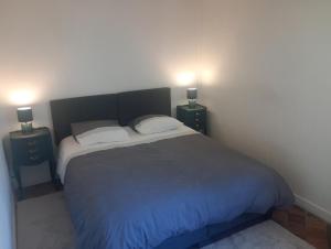 a bedroom with a large bed with two night stands at La maisonnette Poyaudine in Toucy