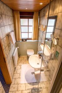 a bathroom with a sink and a toilet at Hotel-Restaurant & Metzgerei Rößle in Dettingen an der Erms