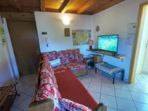 a living room with a couch and a tv at Appartement chaleureux à Soultzeren avec vue sur montagne in Soultzeren