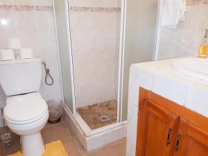 a bathroom with a toilet and a shower and a sink at Charming Apartment in La Savane - 65 m² - Terrace with View in Happy Bay