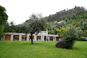 a house in a field with a tree in the yard at "Spacious villa in Caniçada with year-round private pool" in Caniçada