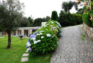 a garden with a large bush of flowers at "Spacious villa in Caniçada with year-round private pool" in Caniçada +15 photos