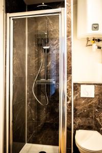 a shower in a bathroom with a toilet at Le nid bourbourgeois in Bourbourg