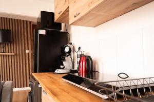 a kitchen with a black refrigerator and a counter top at Le nid bourbourgeois in Bourbourg +1 photo