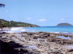 a beach with some rocks and the ocean at Appartement spacieux à Sainte-Rose - 120 m² - Terrasse ensoleillée in Sainte-Rose