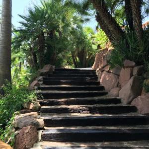 a set of stone stairs with palm trees at Seaside villa in Jávea with private pool in Jávea