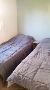 two beds sitting next to each other in a room at Bungalow charmant à Onzain avec vue sur jardin in Onzain