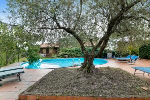 a large tree in front of a swimming pool at Welcoming Apartment in Fabrica di Roma – 140 sqm, Private Pool in Fabrica di Roma +31 photos