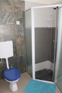 a bathroom with a blue toilet and a shower at Charming Studio in Blue Bay, 22 m², Near Beaches in Blue Bay +1 photo