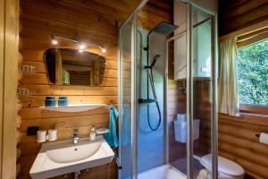 a bathroom with a shower and a sink at Ropferhof in Buchen +144 photos