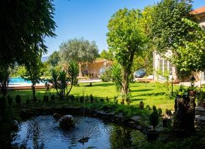 a garden with a pond and trees and a building at Charming villa with mountain view in Pedraça, pool in Pedraça