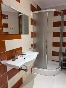 a bathroom with a sink and a shower at Millennium Apart Complex in Sveti Vlas