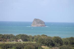 an island in the ocean with a house and trees at Bungalow charmant avec vue sur la mer à Sainte Rose in Sainte-Rose