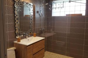 a bathroom with a sink and a shower and a mirror at Villa spacieuse avec piscine à Aspin-en-Lavedan, vue montagne. in Aspin-en-Lavedan
