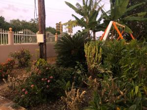 a garden with a white fence and some plants at Appartement Moderne à Capesterre de Marie Galante avec Balcon in Vidon