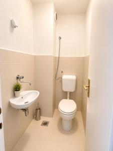 a small bathroom with a toilet and a sink at Riverside Apartment, 10min Airport in Sarajevo