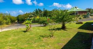 a green yard with trees and a fence at Maison accueillante à Anse-Bertrand avec jardin privé 70 m² in Anse-Bertrand +25 photos