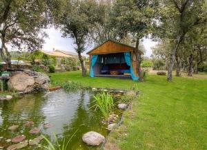 a small house in a yard next to a pond at Studio accueillant à Moltifao 30 m² avec terrasse et jardin in Moltifao +10 photos