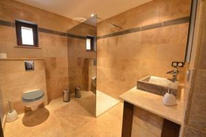 a bathroom with a shower and a toilet and a sink at Maison charmante au cœur d'Alligny-en-Morvan avec vue in Alligny-en-Morvan