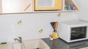 a kitchen counter with a microwave and a sink at Maison charmante à Montblanc avec terrasse in Montblanc